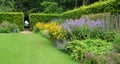 Herbaceous border with hedge and lawn.
