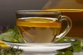 Herbaceous tea Royalty Free Stock Photo