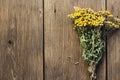 Herbal alternative medicine, medicinal dry herb Tanacetum for phytotherapy, bunch of dried tansy plant on natural wooden Royalty Free Stock Photo