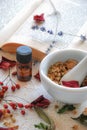 Herbal apothecary with herbs and book Royalty Free Stock Photo