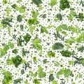 Herbal background (on white) Royalty Free Stock Photo