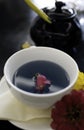 Herbal Blue tea, or butterfly pea flower tea