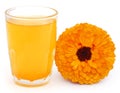 Herbal calendula flower with extract in a glass