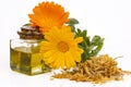 Herbal calendula officinalis in the glass and drop oil Isolated