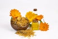 Herbal calendula officinalis in the glass and drop oil Isolated