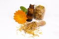 Herbal calendula officinalis in the glass and drop oil Isolated