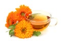 Herbal calendula tea Royalty Free Stock Photo