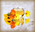 Herbal calendula tea Royalty Free Stock Photo