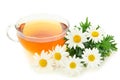 Herbal camomile tea Royalty Free Stock Photo