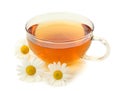 Herbal camomile tea Royalty Free Stock Photo