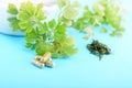 HERBAL CAPSULES CLOSE UP Royalty Free Stock Photo