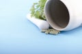 HERBAL CAPSULES CLOSE UP Royalty Free Stock Photo