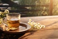 Herbal chamomile tea and chamomile flowers. Alternative medicine. Rural or countryside background