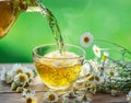 Herbal chamomile tea and chamomile flowers near teapot and tea glass on wooden table. Countryside background