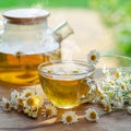 Herbal chamomile tea and chamomile flowers near teapot and tea glass on wooden table. Countryside background