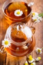 Herbal chamomile tea in cup and glass teapot with fresh chamomile herb flowers Royalty Free Stock Photo