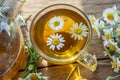 Herbal chamomile tea. Chamomile flowers near teapot and tea glass. Top view Royalty Free Stock Photo