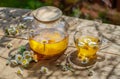 Herbal chamomile tea and chamomile flowers near teapot and tea glass on wooden table. Countryside background