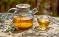 Herbal chamomile tea and chamomile flowers near teapot and tea glass on wooden table. Countryside background