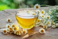 Herbal chamomile tea and chamomile flowers near teapot and tea glass on wooden table. Countryside background Royalty Free Stock Photo