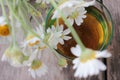 Herbal chamomile tea in a glass. Bouquet of daisy flowers on a wooden table. Top view Royalty Free Stock Photo