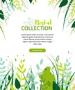 Herbal Collection Flat Poster for Advertisement.