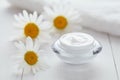 Herbal cosmetic cream with chamomile vitamin natural organic moisturizer Royalty Free Stock Photo