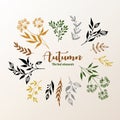 Herbal design elements collection