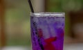 Herbal drink from the purple asian pigeonwing flower