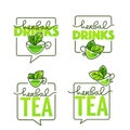 Herbal drinks vector line art logo with handrawn lettering compo