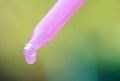 Herbal drop from a dropper Royalty Free Stock Photo