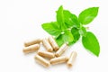 Herbal drug capsule Royalty Free Stock Photo