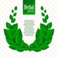 Herbal eco wreath of natural green leaves