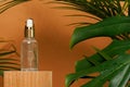 Herbal essence. alternative medicine. essential oil bottle standing on wooden podium with palm and monstera leaves Royalty Free Stock Photo