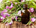 Herbal Essence Bottle Royalty Free Stock Photo