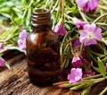 Herbal Essence Bottle Royalty Free Stock Photo