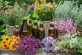 Herbal essences in glass bottles with fresh flowers and herbs
