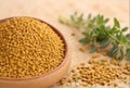 Herbal fenugreek on a wooden background Royalty Free Stock Photo