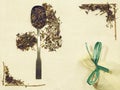 Herbal flat lay of different herbs on linen fabric with a spoon and pouch