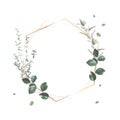 Herbal geometric vector frame. Hand painted plants Royalty Free Stock Photo