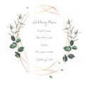 Herbal geometric vector frame. Hand painted plants, branches, leaves on a white background Royalty Free Stock Photo