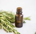 Herbal green rosemary herb essential oil bottle, natural aromatherapy oil Royalty Free Stock Photo