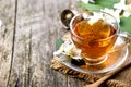 Herbal green tea border on wooden rustic background. Hot cup of jasmine tea on vintage textured table from above