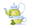 Herbal green tea a cup with chamomile and leaf melissa. Royalty Free Stock Photo