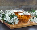 Herbal haw thorn tea from flower buds around blooming branches Royalty Free Stock Photo