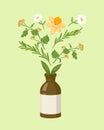 Herbal homeopathic collection. Organic treatment brown bottle with oil extracts chamomile and celandine.