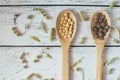 Herbal homeopathy natural pills or vitamins in wooden spoons and dry herbs on white wooden vintage background.