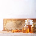 Herbal honey in jar with dipper, honeycomb, bee pollen granules, calendula flowers on grey background