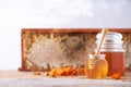 Herbal honey in jar with dipper, honeycomb, bee pollen granules, calendula flowers on grey background Royalty Free Stock Photo