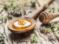 Herbal honey pouring into the wooden spoon. Royalty Free Stock Photo